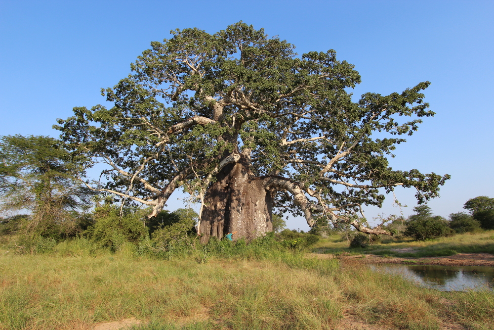 Natural Wonders of Angola