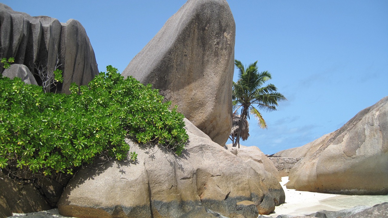 Natural Wonders of the Seychelles